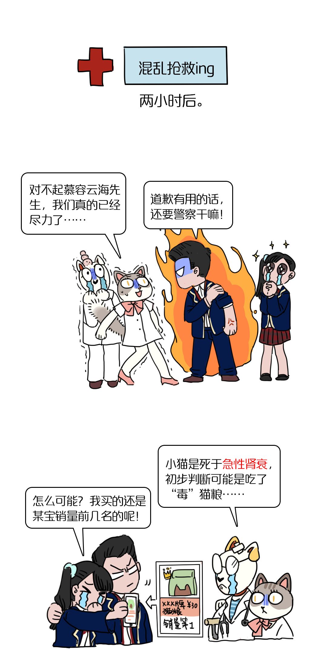 猫吃玉米的好处_猫吃玉米消化吗_猫咪玉米营养餐