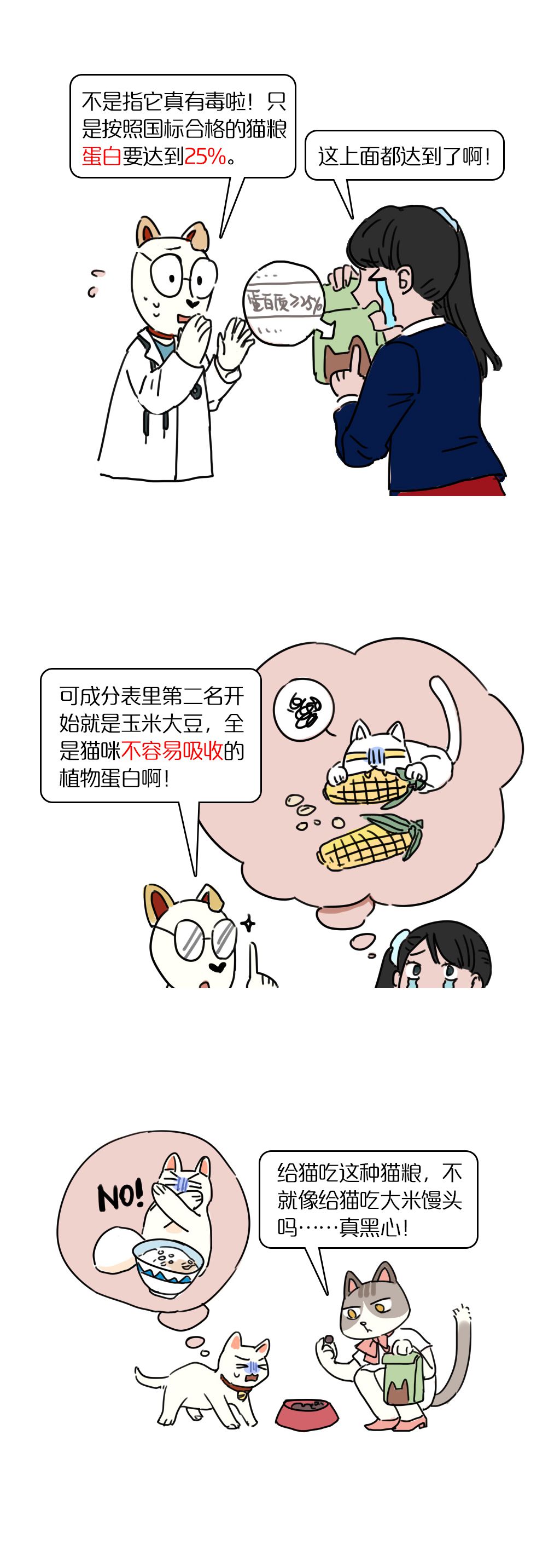 猫吃玉米的好处_猫吃玉米消化吗_猫咪玉米营养餐