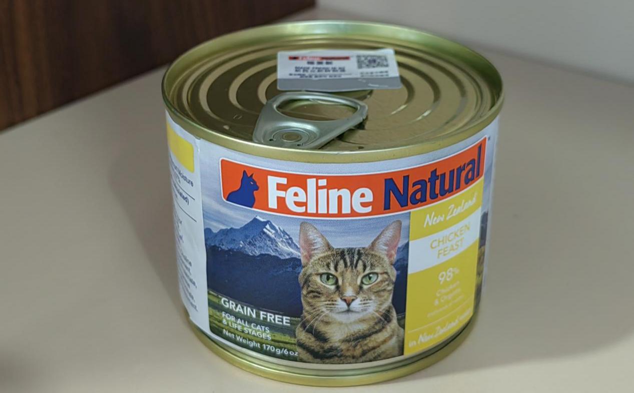 猫咪玉米营养餐_给猫吃玉米_猫猫吃玉米好吗