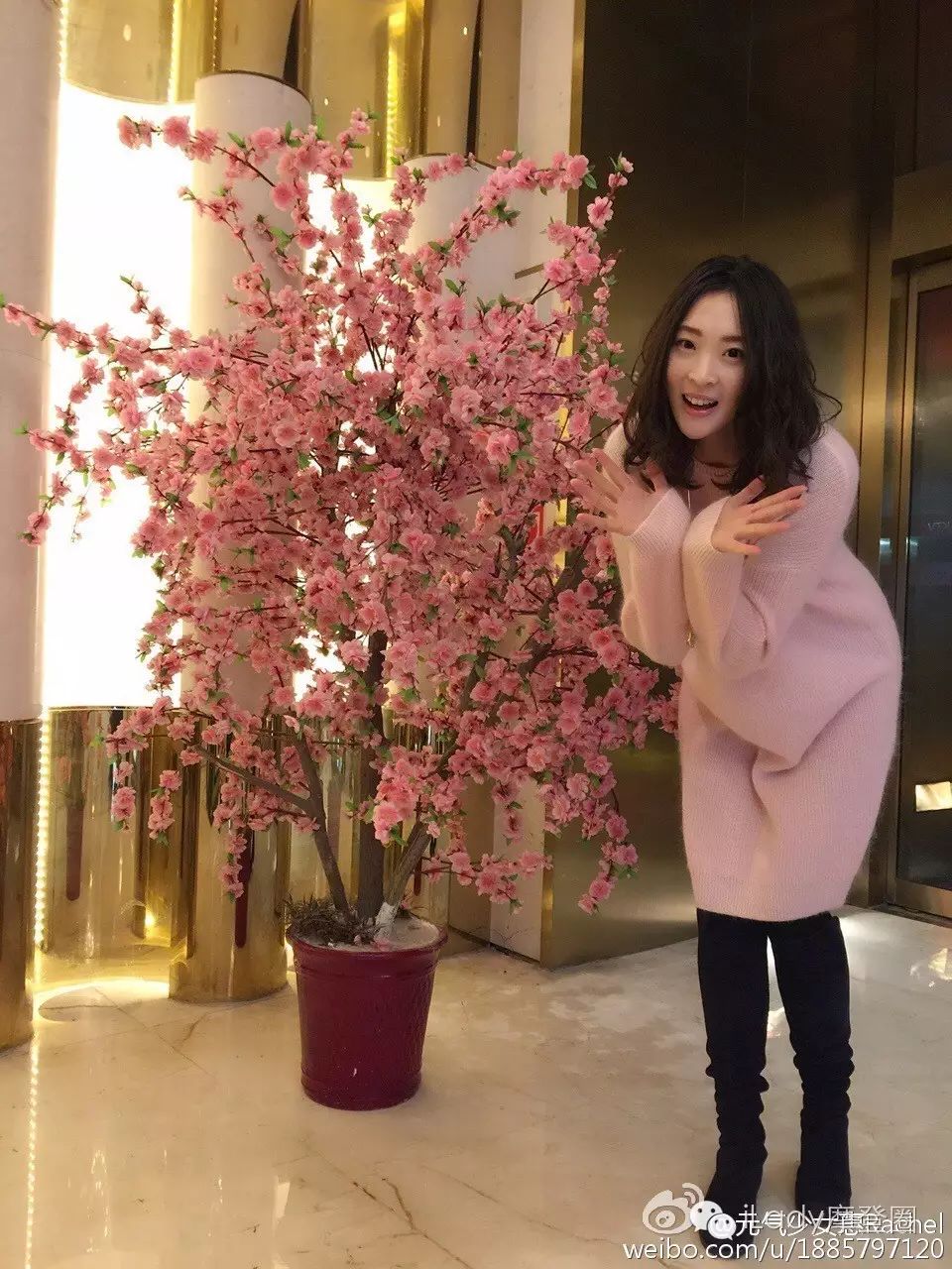 狗比赛游泳得了冠军_游泳冠军是哪个动物_搜索游泳冠军