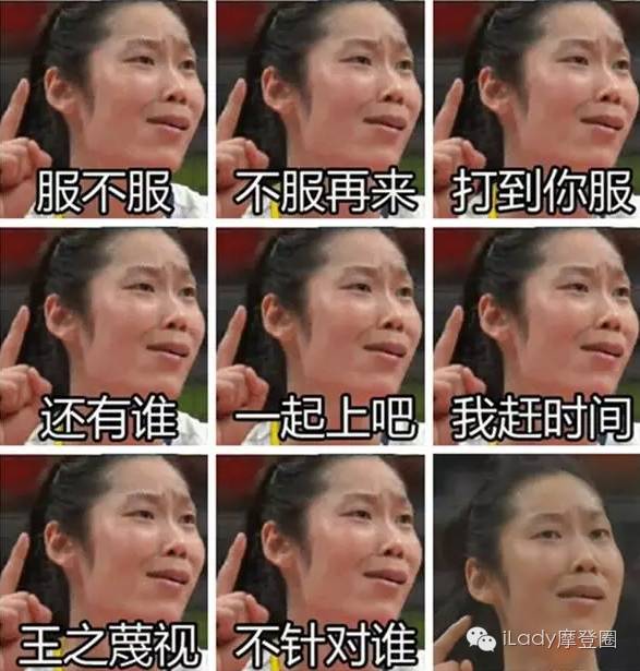 狗比赛游泳得了冠军_搜索游泳冠军_游泳冠军是哪个动物