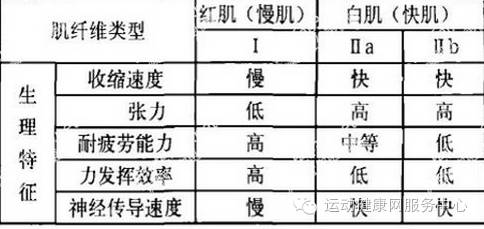 耐力锻炼项目_练耐力的运动_耐力训练运动