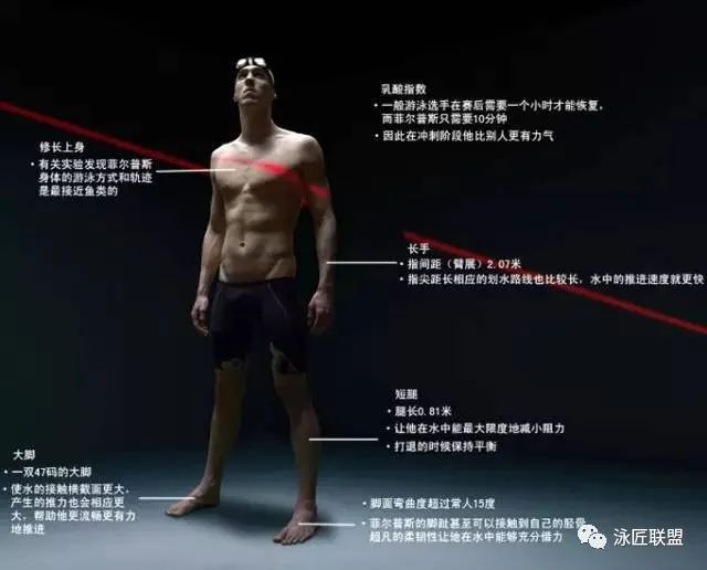 游泳举重冠军比赛时间_举重运动员游泳_举重冠军游泳比赛