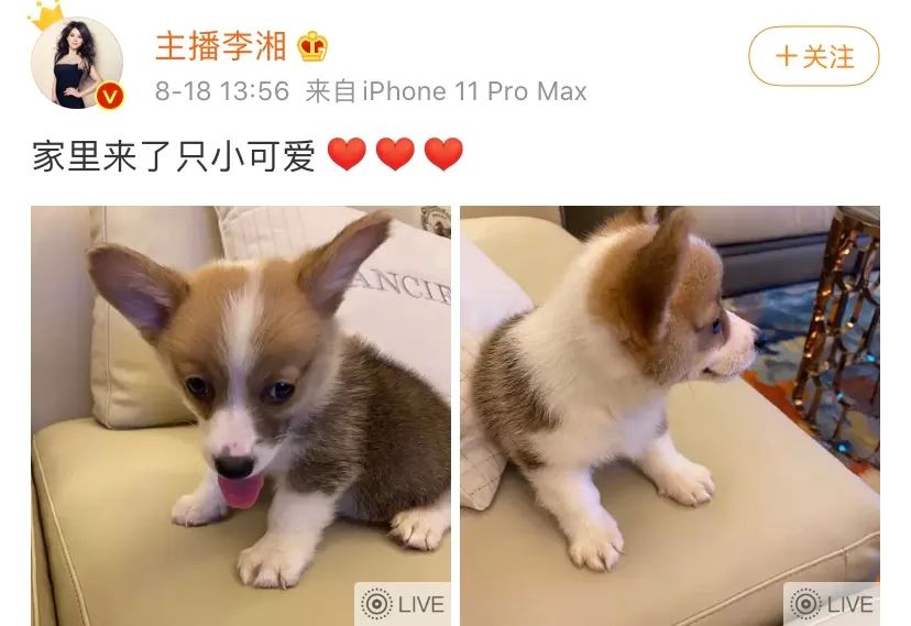 游泳冠军女晶晶_游泳晶晶冠军女孩是谁_游泳冠军叫什么晶晶