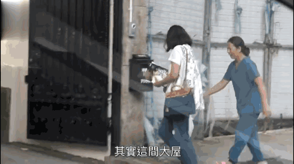 游泳冠军叫什么晶晶_游泳冠军女晶晶_游泳晶晶冠军女孩是谁
