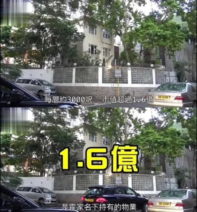 游泳晶晶冠军女孩是谁_游泳冠军女晶晶_游泳冠军叫什么晶晶
