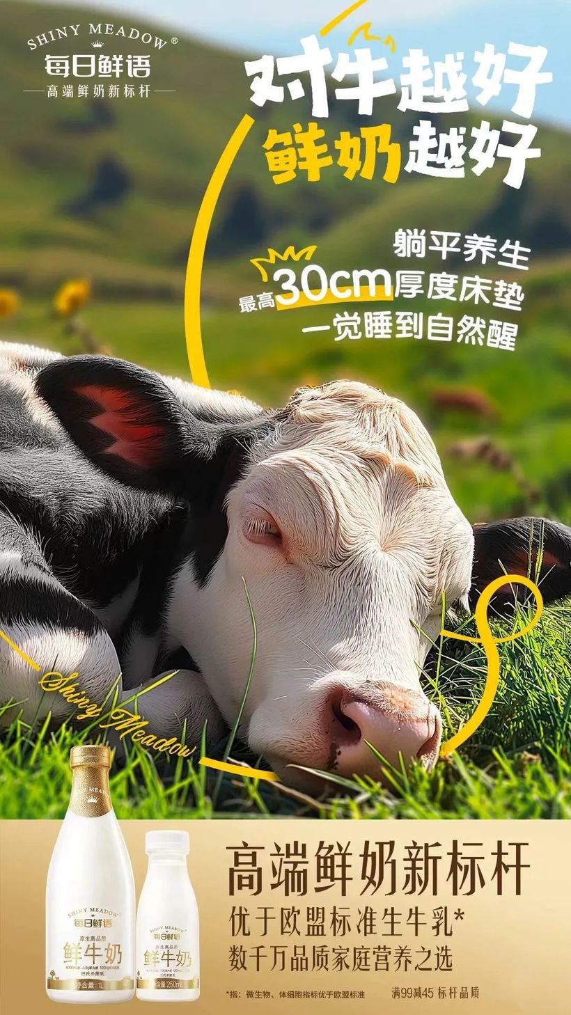 精致生活是一种态度_70后精致生活方式是_精致生活是怎样的